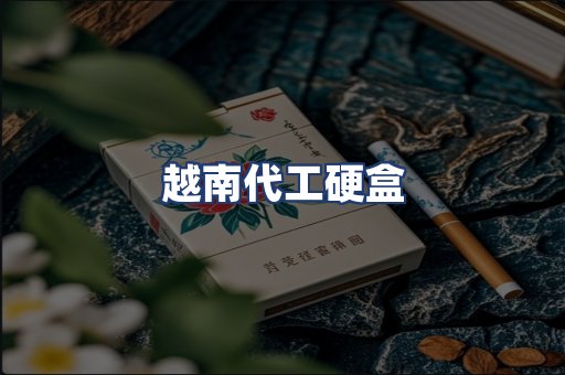 越南代工硬盒